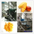 the professional supplier for industrial fruit dryer production line